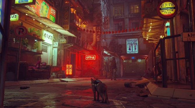Stray